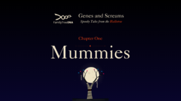 Are You Related to Real Mummies_ What Your DNA Can Reveal